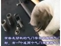 汽車維修-氣門彈簧 (1753播放)